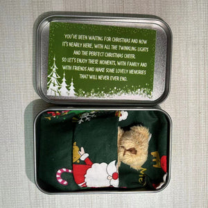 Teddy Bear Christmas Gift