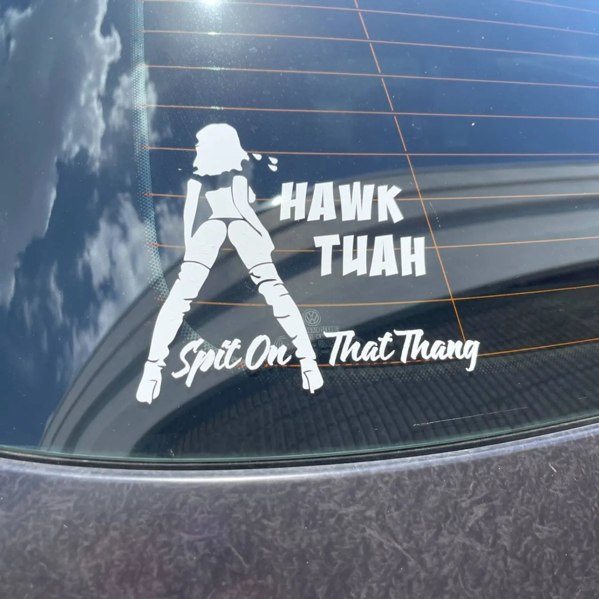 Hawk Tua Sticker 🤣Hawk Tuah Sticker | Spit on That Thang Car – flownwing