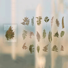 Load image into Gallery viewer, Memory Garden Series PET Stickers Set