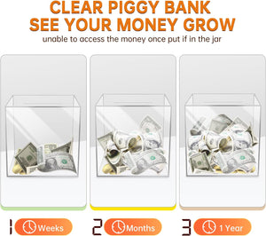 Unopenable Transparent Acrylic Piggy Bank