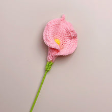 Load image into Gallery viewer, Crochet Flowers Bouquet Handmade Knitted Flower Gift