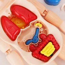 Load image into Gallery viewer, Children&#39;s Enlightenment Toys
