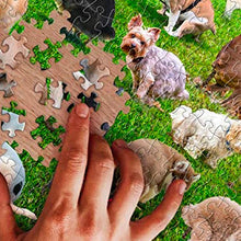 Load image into Gallery viewer, 1000 Piece Puzzle, 101 Pooping Puppies, Dogs Pooping Puzzle