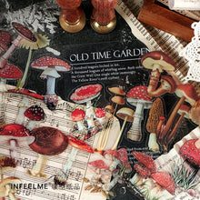 Load image into Gallery viewer, Memory Garden Series PET Stickers Set