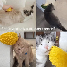 Load image into Gallery viewer, Durian Multifunctional Toys