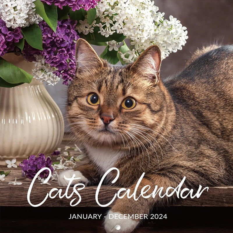 Cute Cat Wall Calendar