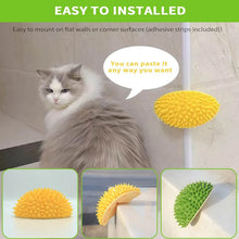 Load image into Gallery viewer, Durian Multifunctional Toys