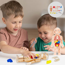 Load image into Gallery viewer, Children&#39;s Enlightenment Toys