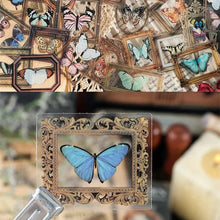 Load image into Gallery viewer, Memory Garden Series PET Stickers Set
