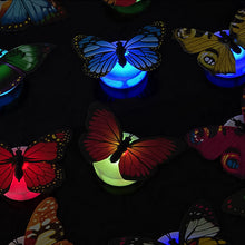 Load image into Gallery viewer, 3D LED Butterfly Decoration Night Light