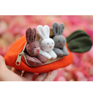Easter Hide-and-Seek Bunnies in Carrot Pouch