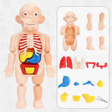 Load image into Gallery viewer, Children&#39;s Enlightenment Toys