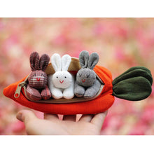 Load image into Gallery viewer, Easter Hide-and-Seek Bunnies in Carrot Pouch