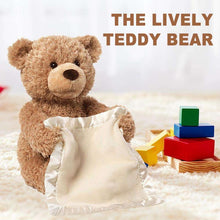 Load image into Gallery viewer, Peek-a-Boo Teddy Bear
