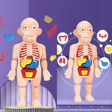 Load image into Gallery viewer, Children&#39;s Enlightenment Toys