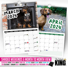 Load image into Gallery viewer, Cheeky Dachshunds - 2024 Wall Calendar