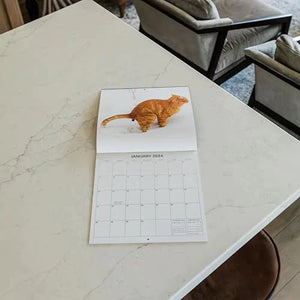Cat Poop Calendar
