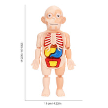 Load image into Gallery viewer, Children&#39;s Enlightenment Toys