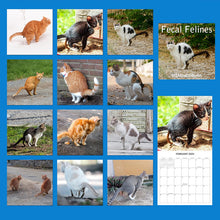 Load image into Gallery viewer, Cat Poop Calendar