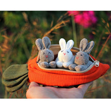 Load image into Gallery viewer, Easter Hide-and-Seek Bunnies in Carrot Pouch