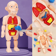Load image into Gallery viewer, Children&#39;s Enlightenment Toys