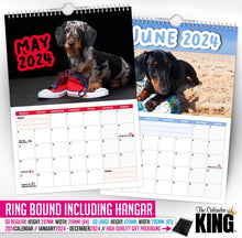 Load image into Gallery viewer, Cheeky Dachshunds - 2024 Wall Calendar