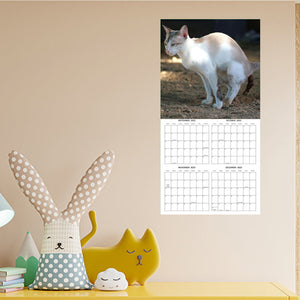 Cat Poop Calendar