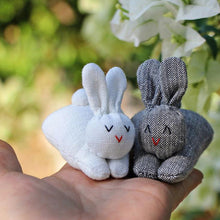 Load image into Gallery viewer, Easter Hide-and-Seek Bunnies in Carrot Pouch
