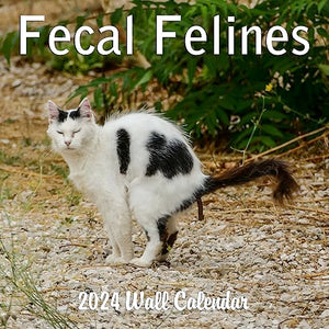 Cat Poop Calendar