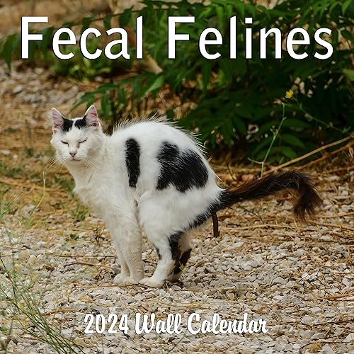 Cat Poop Calendar
