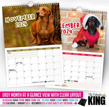 Load image into Gallery viewer, Cheeky Dachshunds - 2024 Wall Calendar