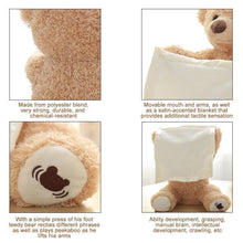 Load image into Gallery viewer, Peek-a-Boo Teddy Bear