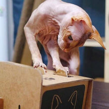 Load image into Gallery viewer, Cat Punch Cat toy Corrugated Cardboard