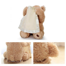 Load image into Gallery viewer, Peek-a-Boo Teddy Bear
