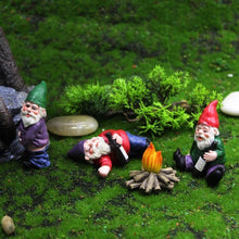 Load image into Gallery viewer, Perfect Fun Gnomes For Any Garden