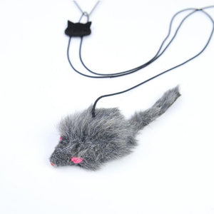 Hanging door type cat black mouse