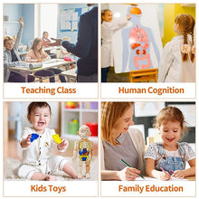 Load image into Gallery viewer, Children&#39;s Enlightenment Toys