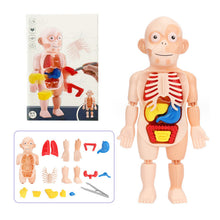 Load image into Gallery viewer, Children&#39;s Enlightenment Toys