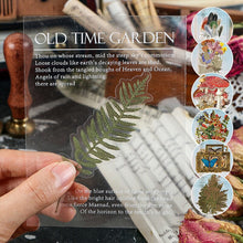 Load image into Gallery viewer, Memory Garden Series PET Stickers Set