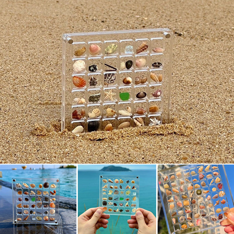 Acrylic Magnetic Seashell Display Box – flownwing