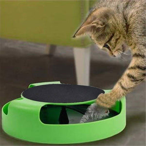 Catch Mouse Interactive Cat Toy